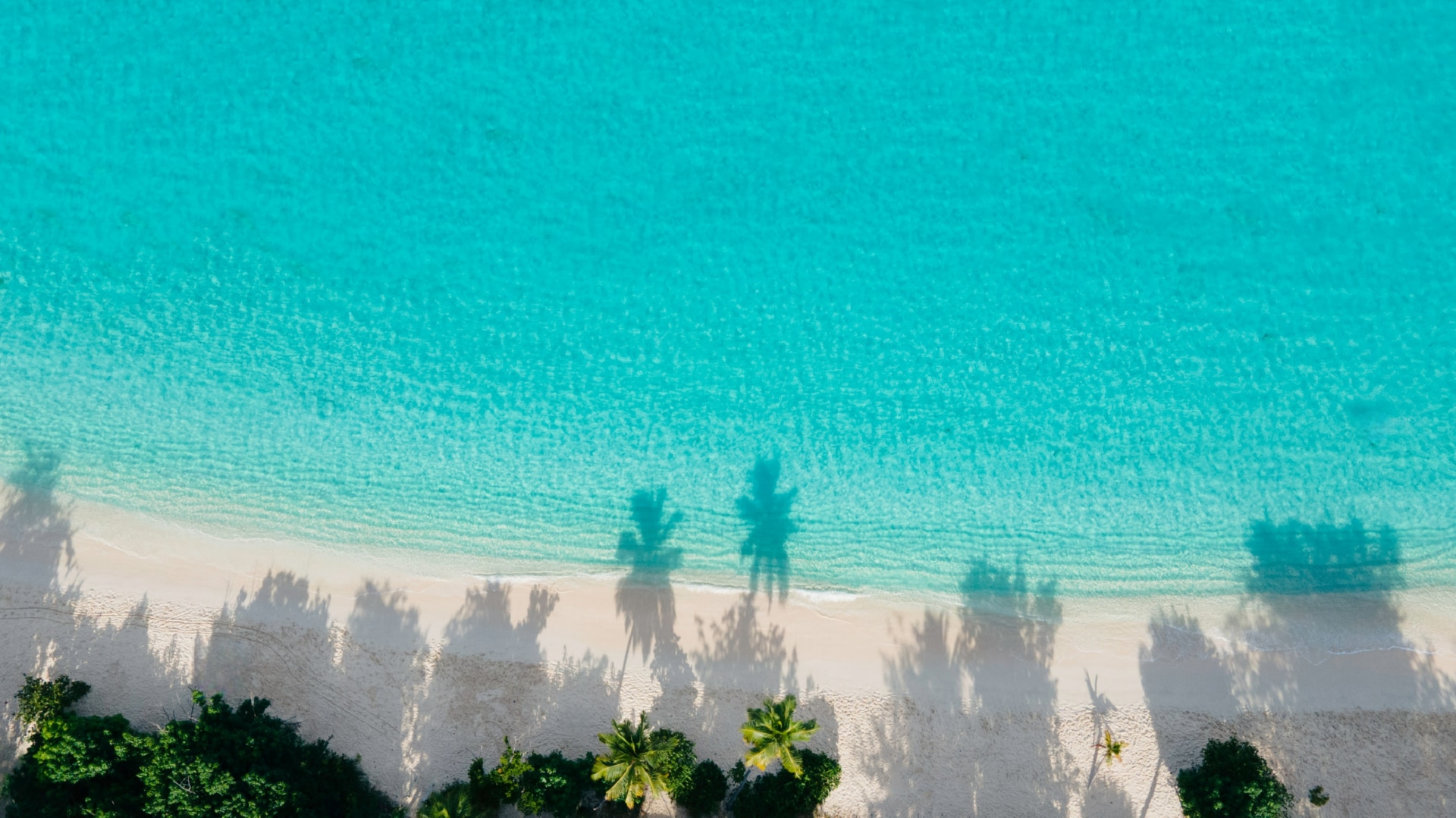 aerial view of beach with turquoise water